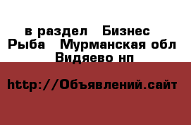  в раздел : Бизнес » Рыба . Мурманская обл.,Видяево нп